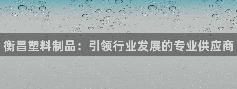 太阳集团股东：衡昌塑料制品：引领行业发展的专业供应商
