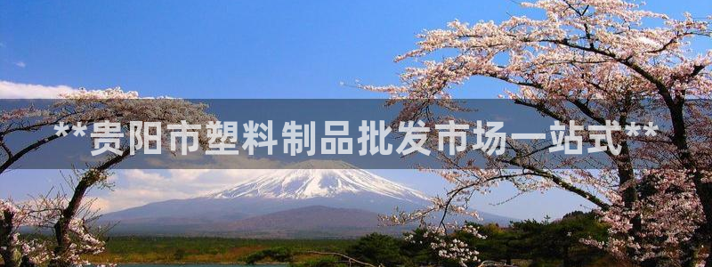 suncitygroup太阳集团：**贵阳市塑料制品批发市场