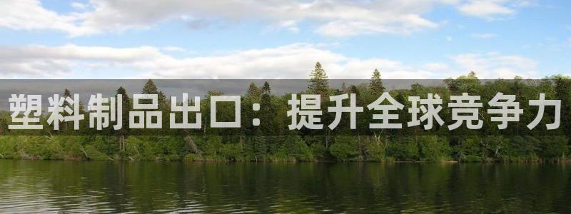 江苏太阳集团冷青松：塑料制品出口：提升全球竞争力
