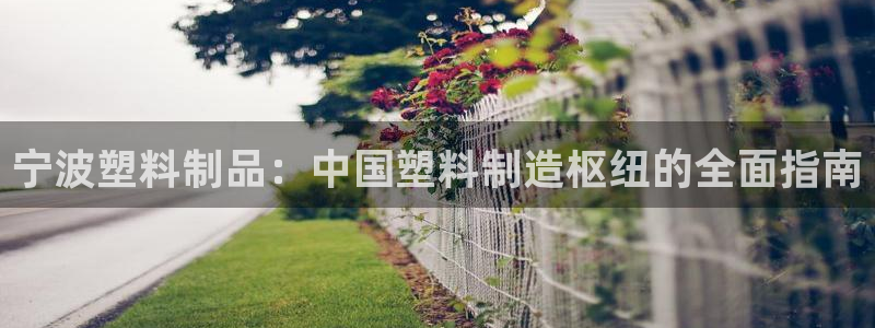太阳成集团APP：宁波塑料制品：中国塑料制造枢纽的全面指南