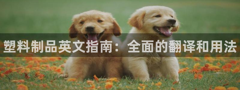 太阳集团城娱8722官方网站：塑料制品英文指南：全面的翻译和
