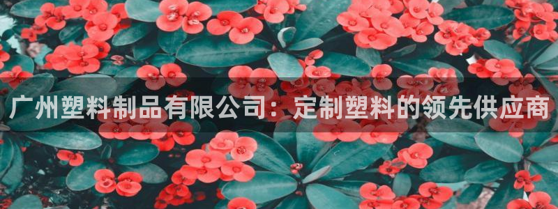 澳门太阳集团与古天乐：广州塑料制品有限公司：定制塑料的领先供