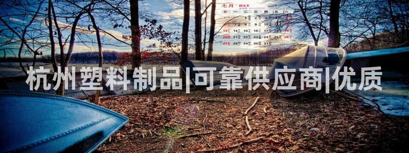 太阳集团tcy8722电子游戏：杭州塑料制品|可靠供应商|优