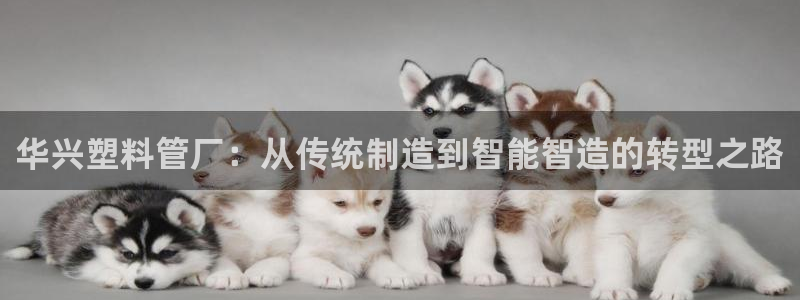 太阳诚集团下载：华兴塑料管厂：从传统制造到智能智造的转型之路