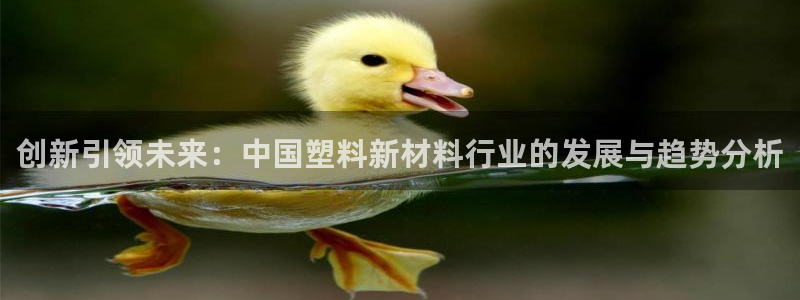 太阳集团游戏2138网站：创新引领未来：中国塑料新材料行业的