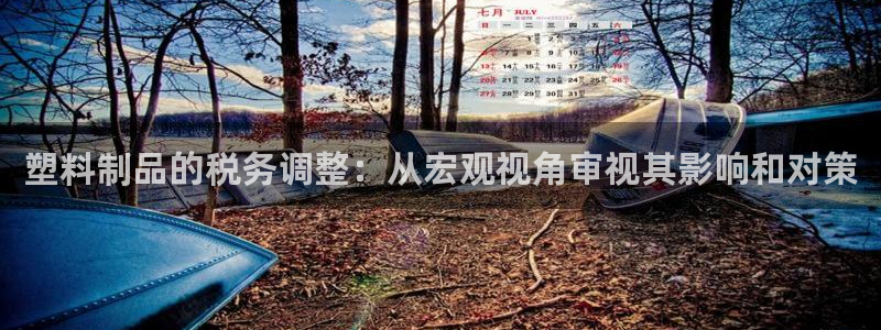 太阳2平台app下载：塑料制品的税务调整：从宏观视角审视其影