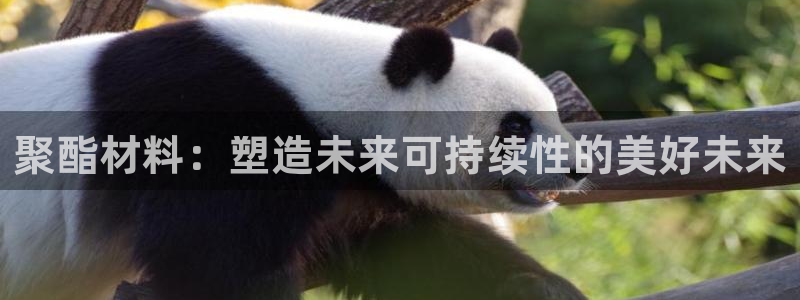 太阳控股集团有限公司董事长：聚酯材料：塑造未来可持续性的美好