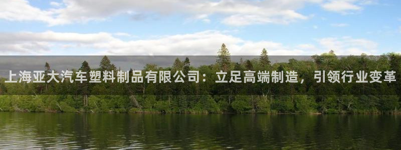 太阳集团城入口：上海亚大汽车塑料制品有限公司：立足高端制造，