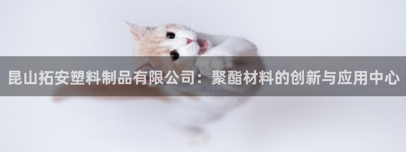 太阳诚集团有限公司是国企吗还是央企：昆山拓安塑料制品有限公司