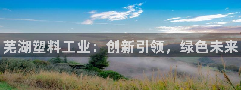 太阳http下载：芜湖塑料工业：创新引领，绿色未来