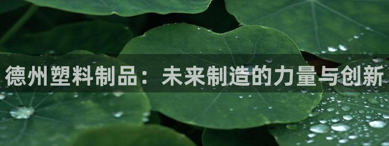 太阳集团3143：德州塑料制品：未来制造的力量与创新