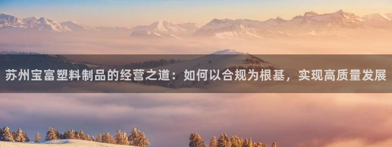 太阳集团股份有限公司官网：苏州宝富塑料制品的经营之道：如何以