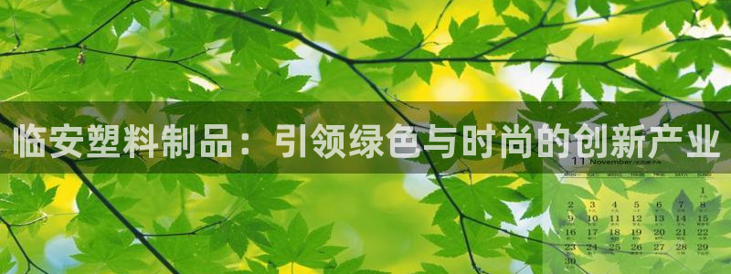 太阳集团的股价是多少：临安塑料制品：引领绿色与时尚的创新产业