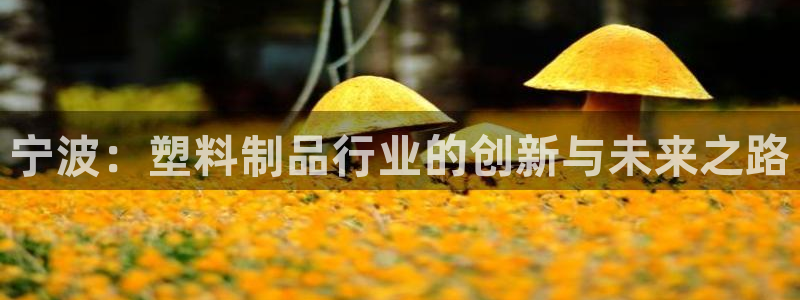太阳集团城官网1407：宁波：塑料制品行业的创新与未来之路