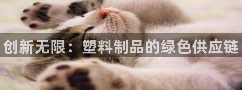 太阳集团所有网址16877：创新无限：塑料制品的绿色供应链