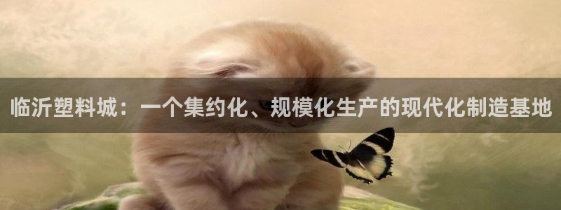 太阳集团注册就送38：临沂塑料城：一个集约化、规模化生产的现