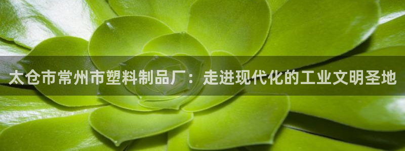 太阳集团游戏城1382：太仓市常州市塑料制品厂：走进现代化的