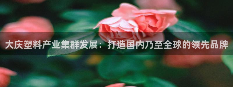 冷太阳什么意思：大庆塑料产业集群发展：打造国内乃至全球的领先