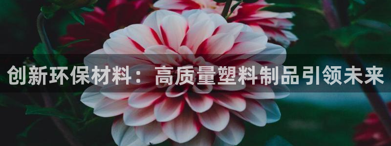 太阳集团tcy8722贵宾会：创新环保材料：高质量塑料制品引