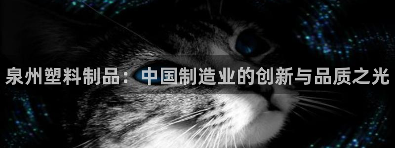 太阳集团洗米华菲律宾：泉州塑料制品：中国制造业的创新与品质之