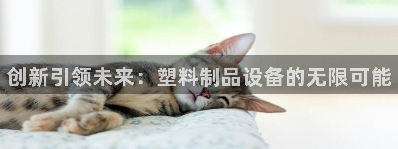 太阳游戏城app：创新引领未来：塑料制品设备的无限可能
