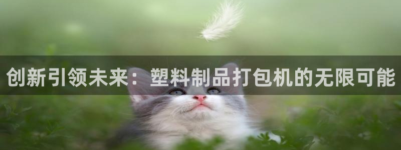 太阳集团唯一老品牌：创新引领未来：塑料制品打包机的无限可能