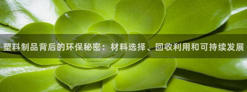 太阳app软件：塑料制品背后的环保秘密：材料选择、回收利用和
