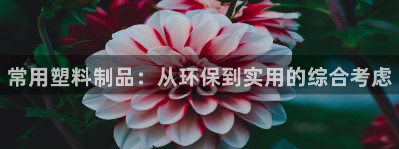 太阳成集团娱乐：常用塑料制品：从环保到实用的综合考虑
