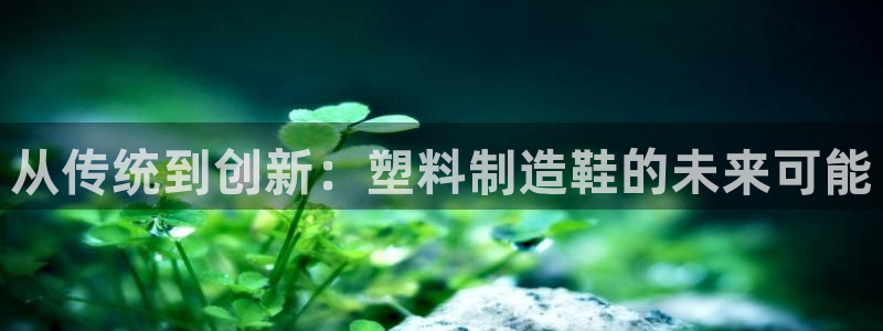 太阳集团注册：从传统到创新：塑料制造鞋的未来可能