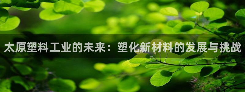太阳2游戏娱乐官网：太原塑料工业的未来：塑化新材料的发展与挑