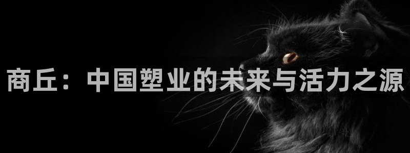 太阳集团2018登录网址：商丘：中国塑业的未来与活力之源
