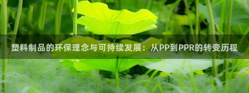 太阳集团不能提现怎么办：塑料制品的环保理念与可持续发展：从P