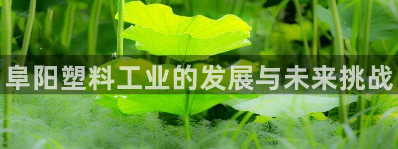太阳集团电子游戏老板：阜阳塑料工业的发展与未来挑战