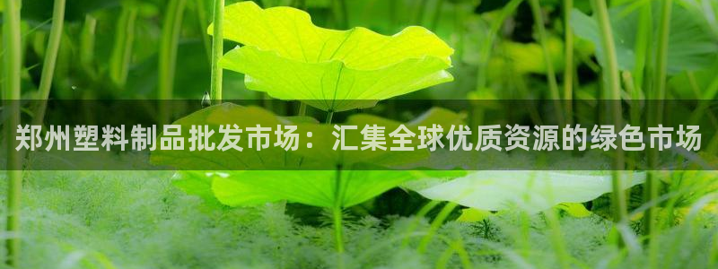 太阳集团股份有限公司是国企吗：郑州塑料制品批发市场：汇集全球