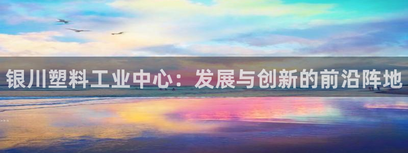 太阳集团app十佳平台是什么：银川塑料工业中心：发展与创新的