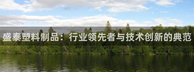 古天乐和太阳集团什么关系：盛泰塑料制品：行业领先者与技术创新