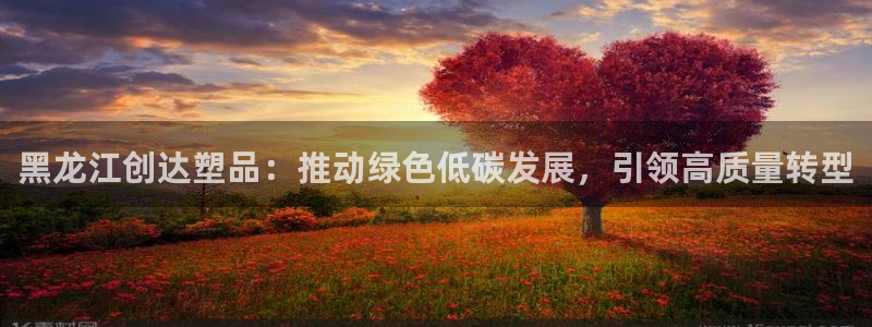 太阳诚集团视频：黑龙江创达塑品：推动绿色低碳发展，引领高质量