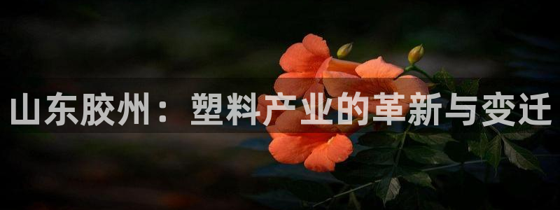 太阳集团官网导航：山东胶州：塑料产业的革新与变迁