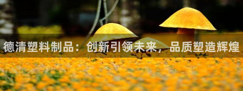 太阳集团游戏城新版138：德清塑料制品：创新引领未来，品质塑