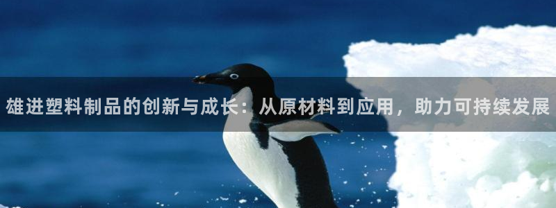 122cc太阳集成游戏：雄进塑料制品的创新与成长：从原材料到
