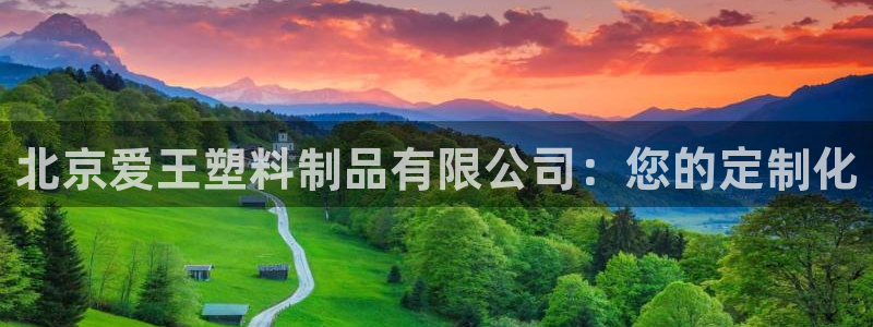 太阳1城集团网址：北京爱王塑料制品有限公司：您的定制化