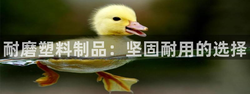 太阳集团城官网：耐磨塑料制品：坚固耐用的选择