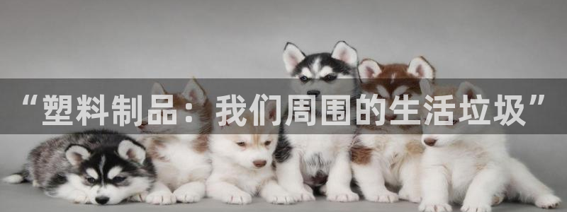 太阳成娱乐集团：“塑料制品：我们周围的生活垃圾”