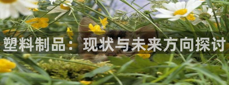 太阳集团控股有限公司：塑料制品：现状与未来方向探讨