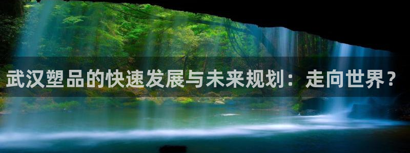 太阳成集团tyc234cc投资控股集团：武汉塑品的快速发展与