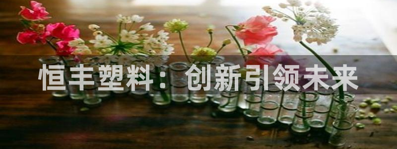 太阳集团董事长是谁：恒丰塑料：创新引领未来