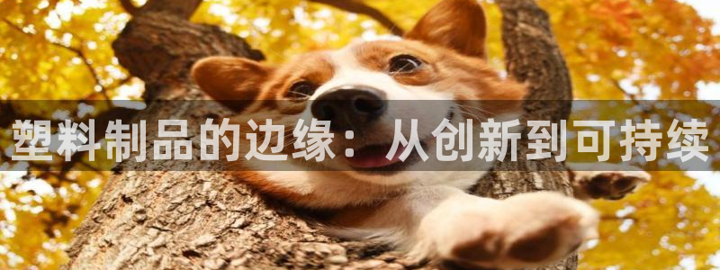 太阳成集团百度百科：塑料制品的边缘：从创新到可持续