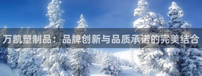 太阳集团网站游戏：万凯塑制品：品牌创新与品质承诺的完美结合