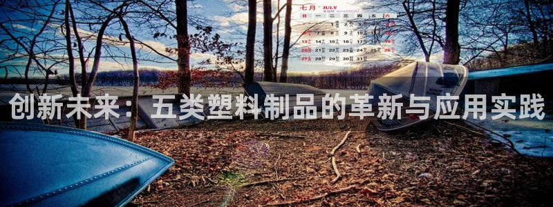 太阳成集团tyc234cc福利：创新未来：五类塑料制品的革新