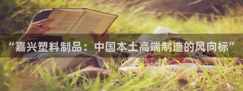 太阳诚集团有限公司是国企吗还是央企：“嘉兴塑料制品：中国本土